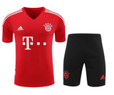 Bayern Munich 22/23 Men's Red Training Shirt