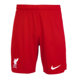 MAC ALLISTER #10 Liverpool 23/24 Authentic Men's Home Shirt - PL Font
