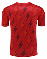 Arsenal 23/24 Men's Red Pre-Match Shirt