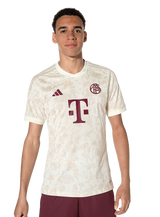 Bayern Munich 23/24 Stadium Men's Third Shirt