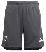Juventus 23/24 Authentic Men's Third Shirt