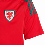 Wales 2024 Kid's Home Shirt and Shorts