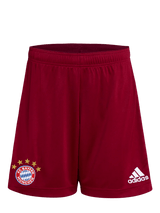 Bayern Munich 21/22 Long Sleeve Stadium Men's Home Shirt