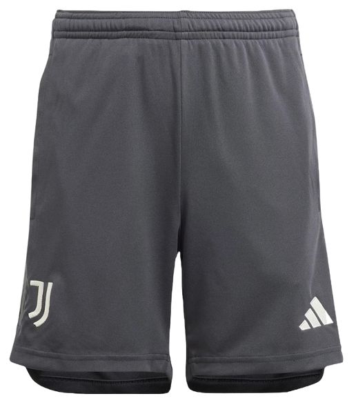 Juventus 23/24 Authentic Men's Third Shirt