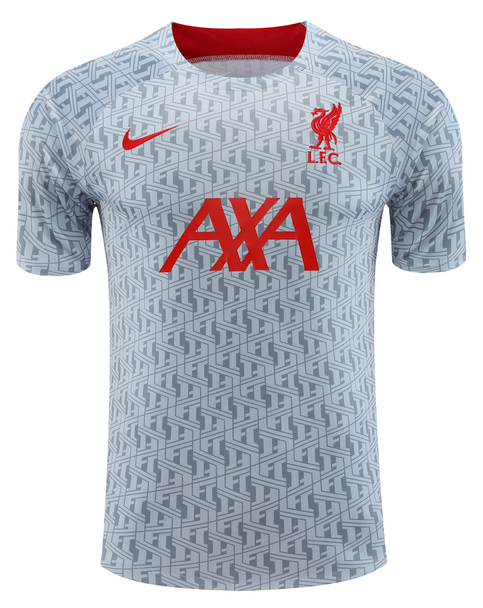 Liverpool 22/23 Men's Gray TRG Strike Shirt