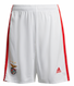 Benfica 22/23 Kid's Home Shirt and Shorts