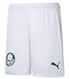 Palmeiras 23/24 Stadium Men's Home Shirt