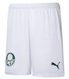 Palmeiras 23/24 Kid's Home Shirt and Shorts