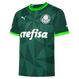 Palmeiras 23/24 Authentic Men's Home Shirt