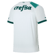 Palmeiras 23/24 Authentic Men's Away Shirt