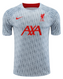 Liverpool 22/23 Men's Gray TRG Strike Shirt