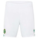 Ireland 23/24 Kid's Home Shirt and Shorts