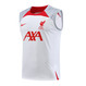 Liverpool 22/23 Men's White TRG Strike Tank Top