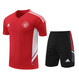 Manchester United 22/23 Men's Red Training Shirt