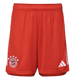 Bayern Munich 23/24 Kid's Home Shirt and Shorts