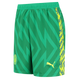 Manchester City 23/24 Kid's Green Goalkeeper Shirt and Shorts