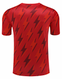 Arsenal 23/24 Men's Red Pre-Match Shirt