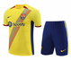Barcelona 23/24 Men's Yellow Training Shirt