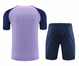 Tottenham 23/24 Men's Purple Training Shirt