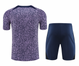 Tottenham 23/24 Men's Purple Warm Up Shirt