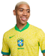 Brazil 2024 Authentic Men's Home Shirt