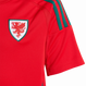 Wales 2024 Kid's Home Shirt and Shorts