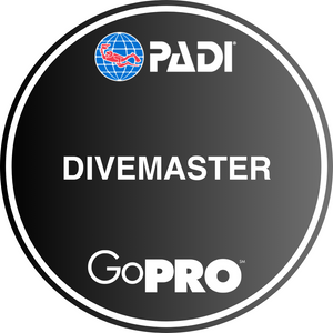 PADI Divemaster PADI Divemaster