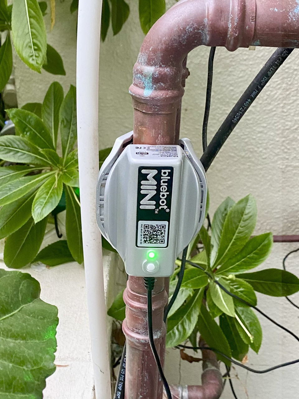 Bluebot Mini installed on a vertical 1" copper pipe Bluebot Mini installed on a vertical 1" copper pipe