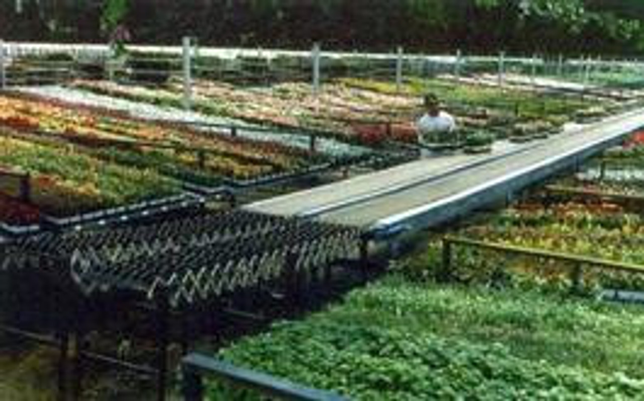 Custom System Design