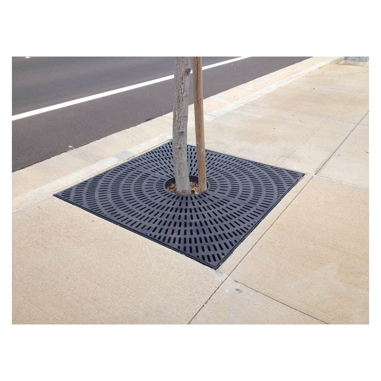 Tree Grates Tree Grates