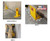 Save-Ty Yellow FPS-7 Floor Pallet Stop | Material Flow
