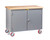 Little Giant Work Center Cabinet with Butcher Block Top - Model WTC2D24362R6PFL