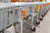 Roach PowerFlex Powered Flexible Roller Conveyor