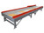 Roach Gator Singulator Conveyors