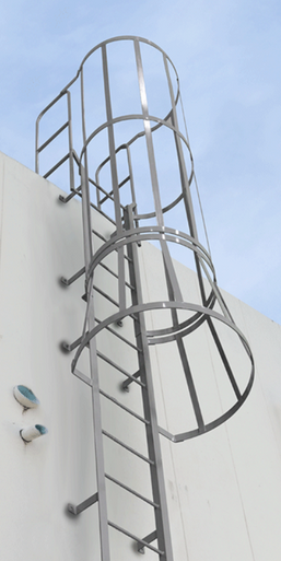 Cotterman Fixed Ladders with Safety Cages | Material Flow
