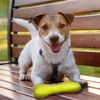 Dog Tennis Ball Bone 