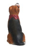 Buster the Dog Squeezies Promotional Stress Relievers - Back