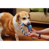 Custom Printed Promotional Tug Rope Tennis Ball Dog Toys