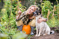 Dog Safety: Yard Ideas That Safeguard Your Pooch and Property