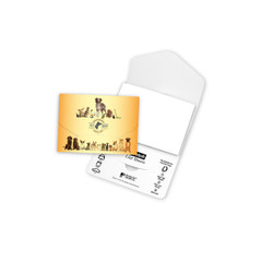 Promotional Pet Hair Remover Lint Sheet Pocket Packs