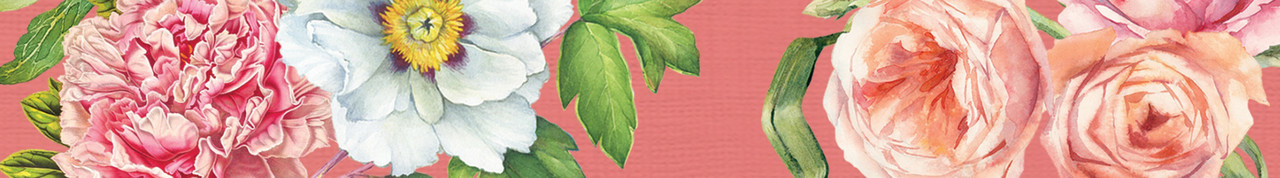 Blush Peony Blush Peony
