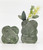 Urban Products Maeve Vase Green Med