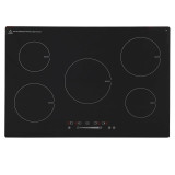 Induction Hobs