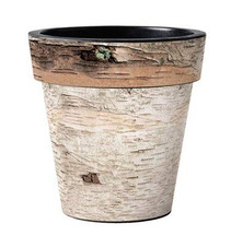 Birch 12" Planter, Outside Planter, Fall Planter, Winter Planter, Rustic Planter Birch 12" Planter, Outside Planter, Fall Planter, Winter Planter, Rustic Planter