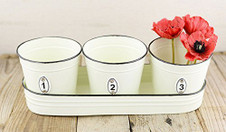 Cream Planters with Tray Cream Planters with Tray