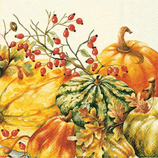2 pkg Pumpkins & Gourds Paper Lunch Napkins 20 ct each, Autumn, Thanksgiving Paperware, Decoupage Napkin