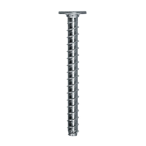 Picture for category Flat Washer Head Concrete Screws