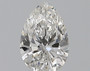 Pear 0.5 F VS2 - #179940
