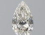 Pear 0.6 H VVS1 - #184080