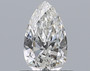 Pear 0.5 F VS2 - #211027